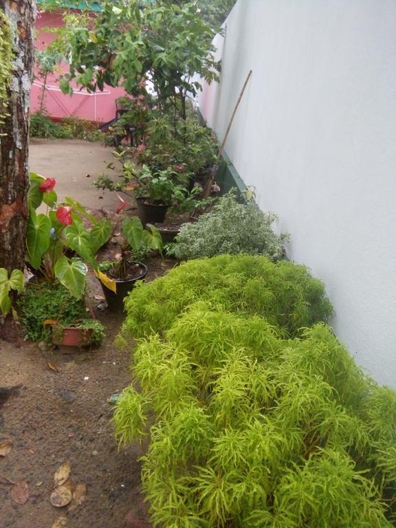 Little Pink House Apartment Mirissa Exterior foto